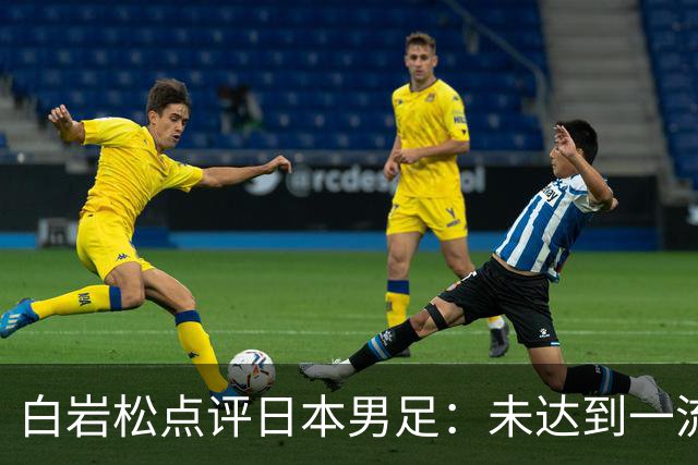 白岩松点评日本男足：未达到一流强队标准，仍需克服对荷兰的恐惧